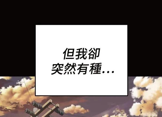 第228页