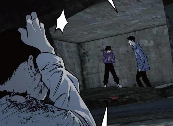 第236页