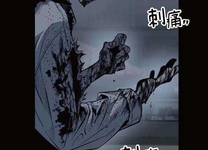 第206页