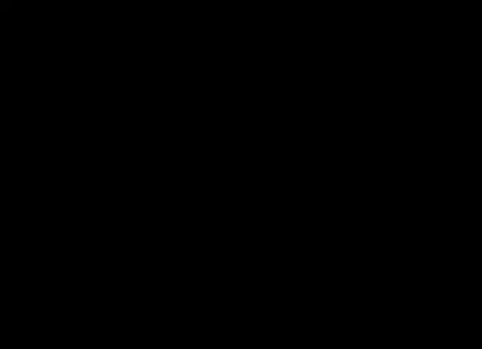 第175页