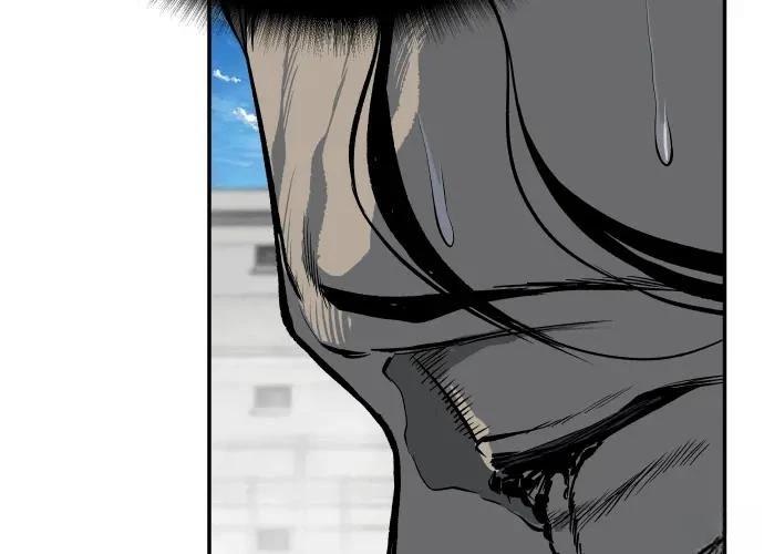 第337页