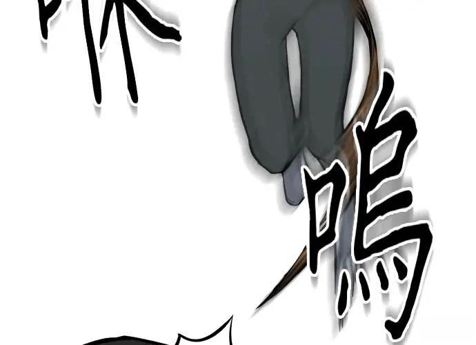 第256页