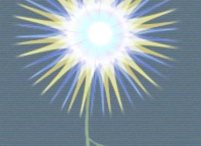 第233页