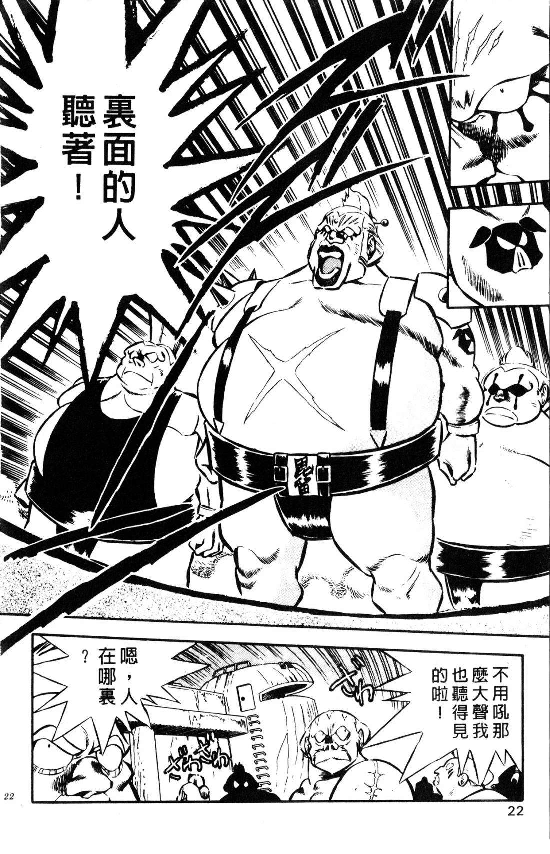 第22页