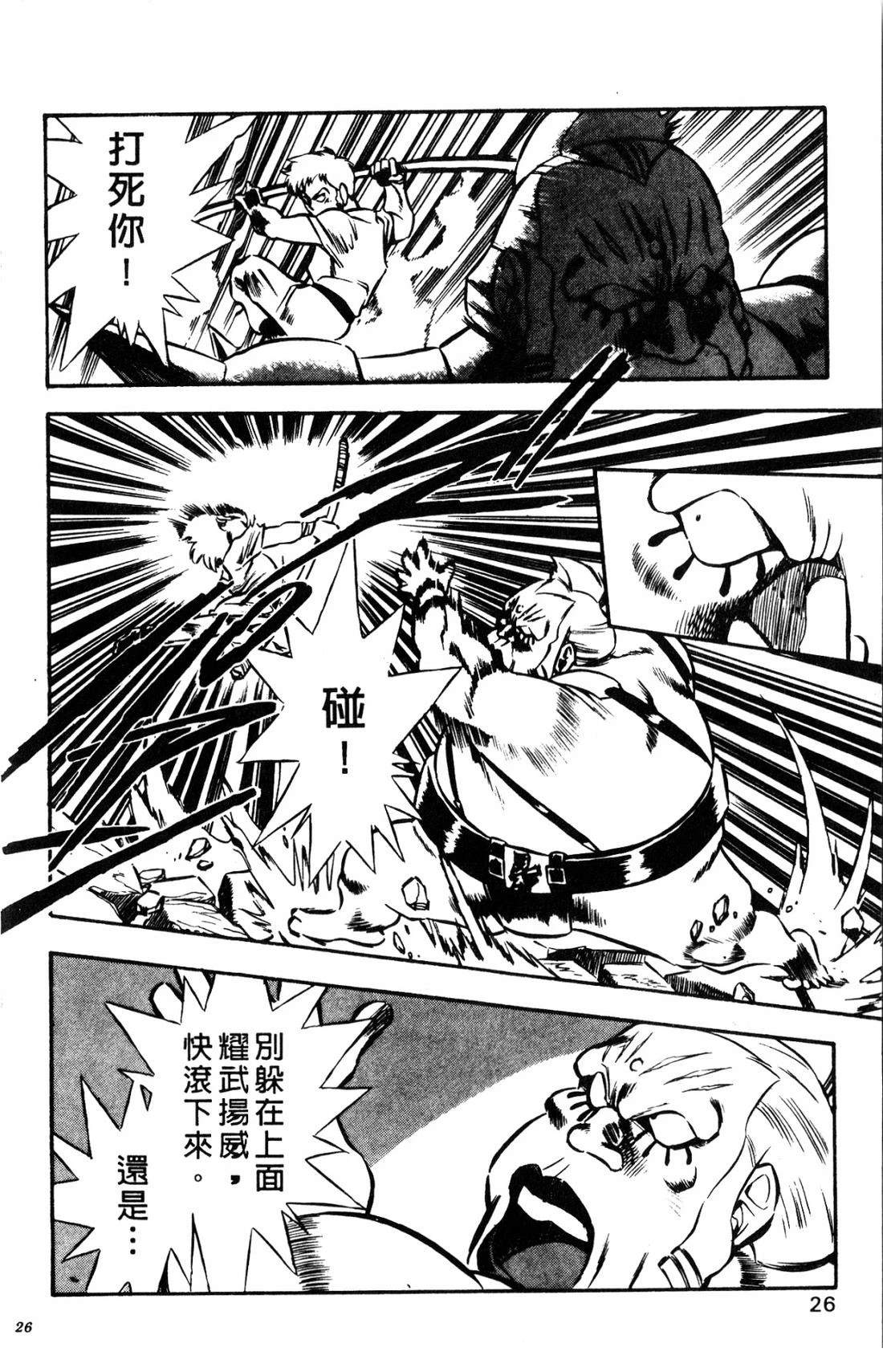 第26页