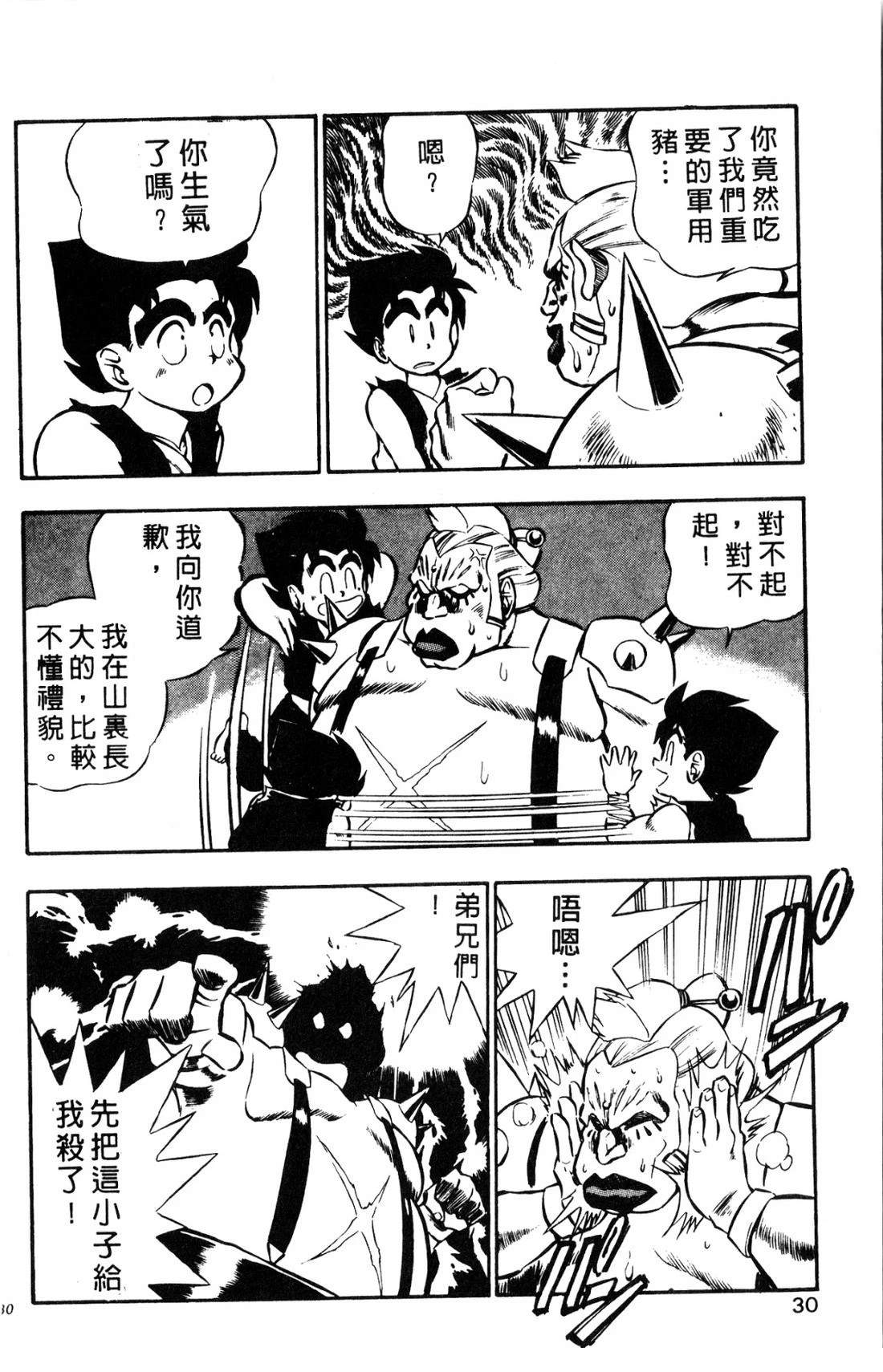 第30页