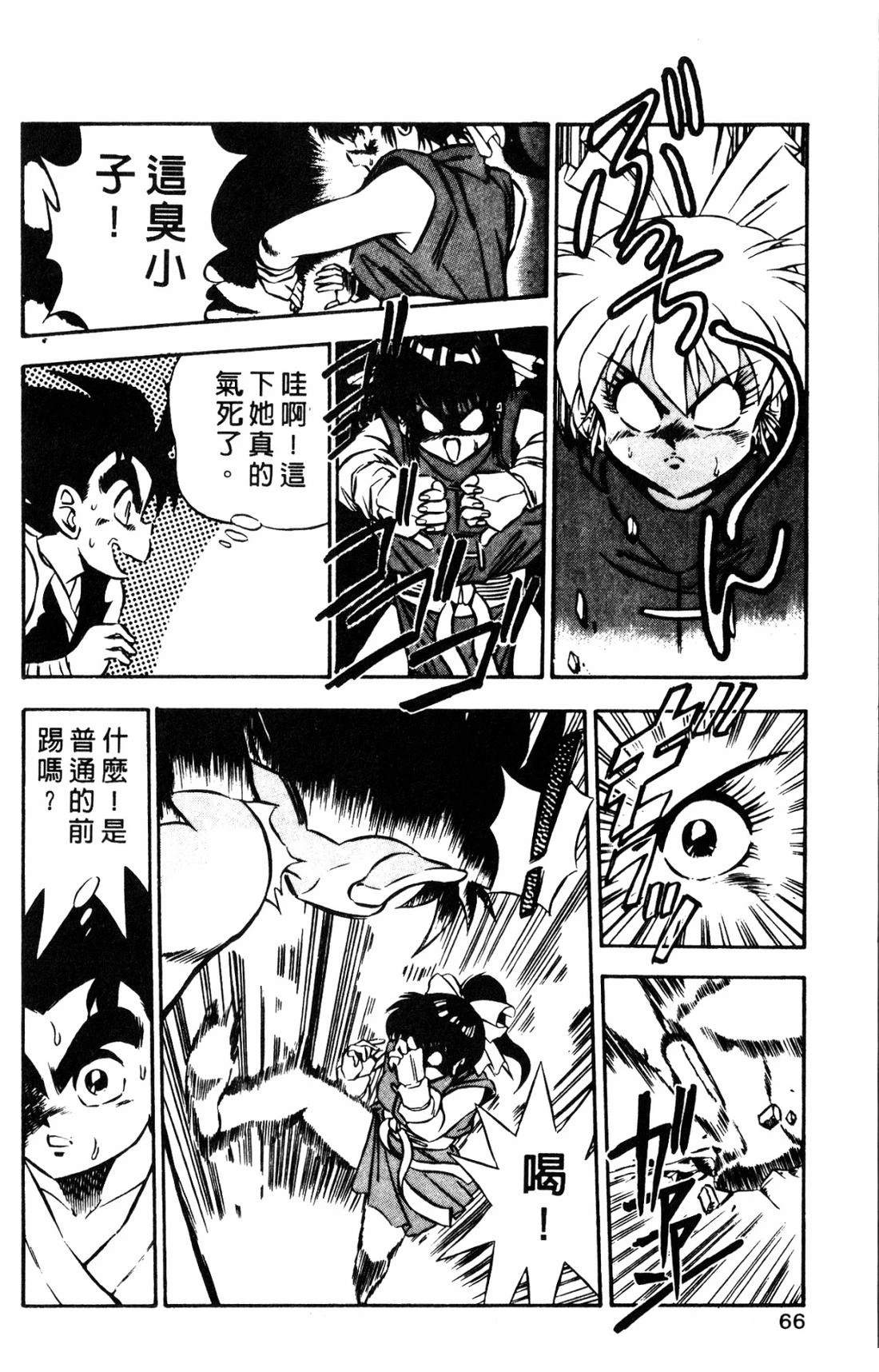 第66页