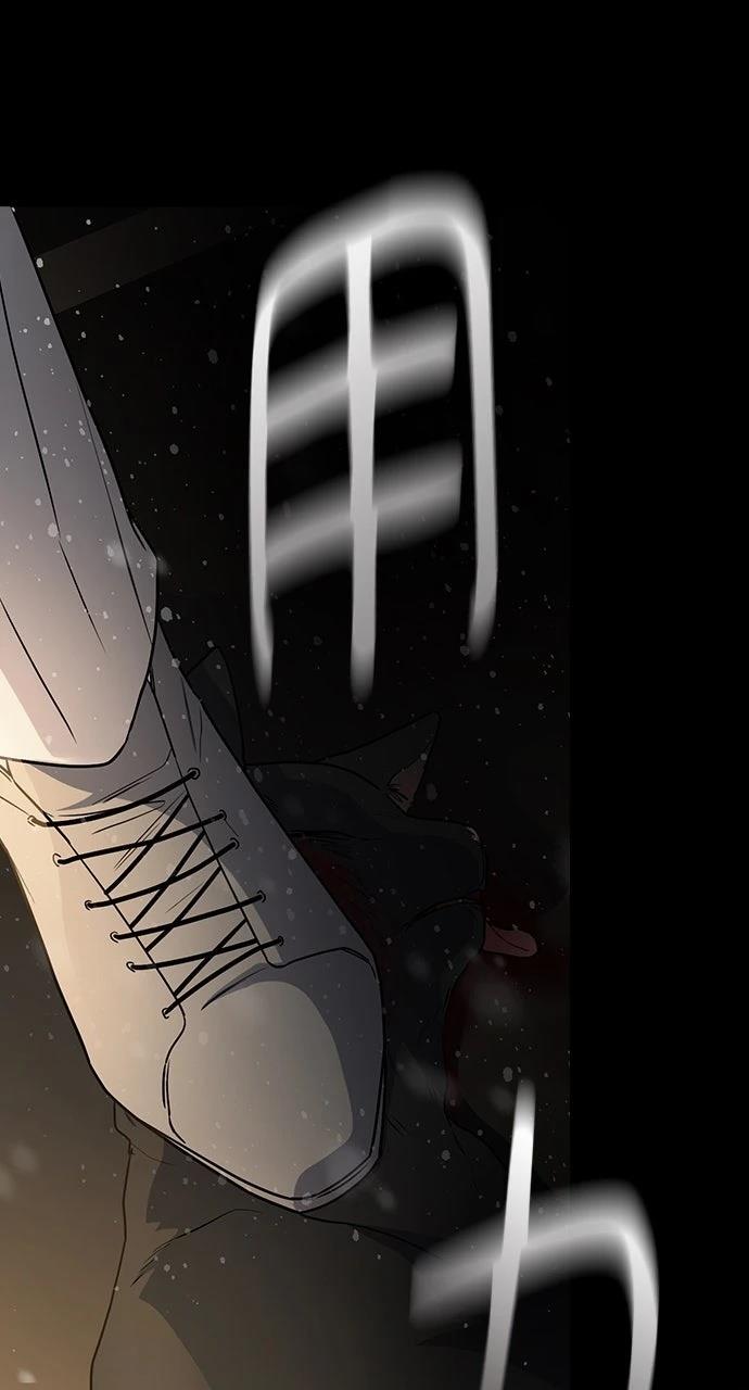 第239页
