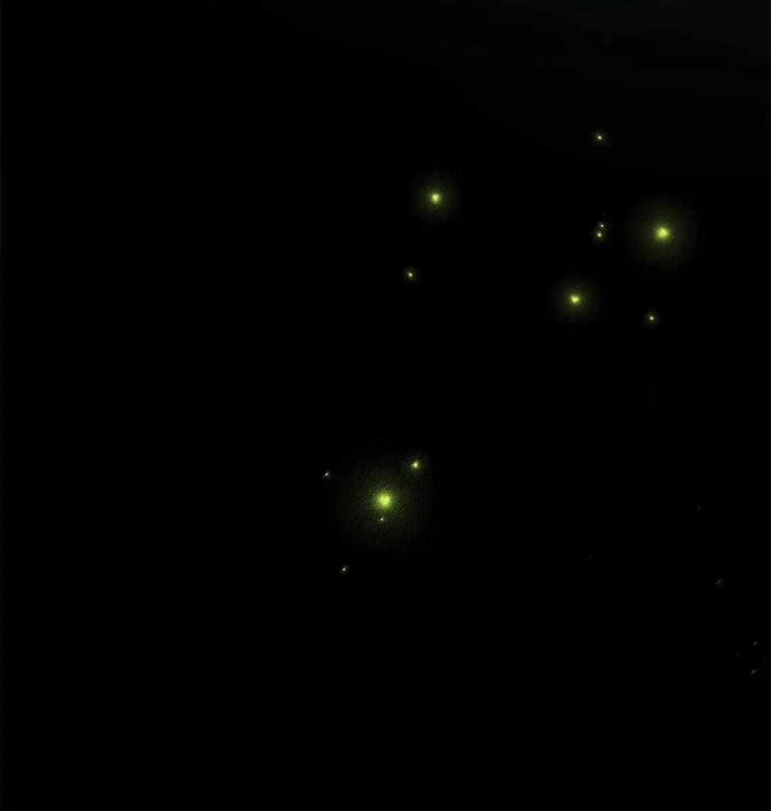 第62页