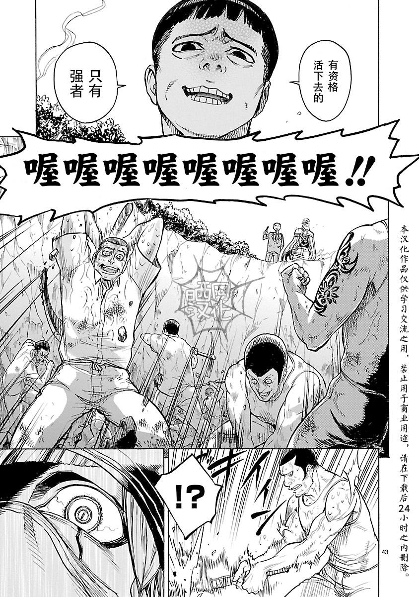 第43页