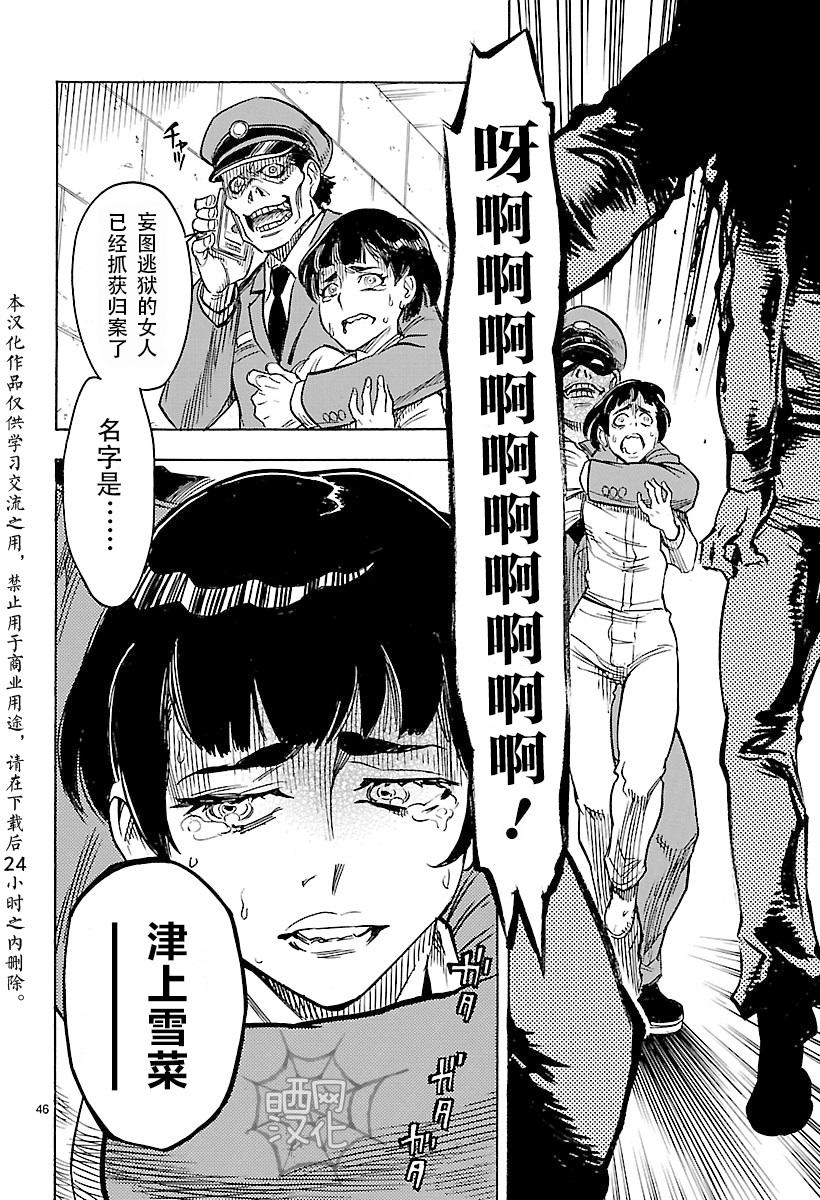 第44页