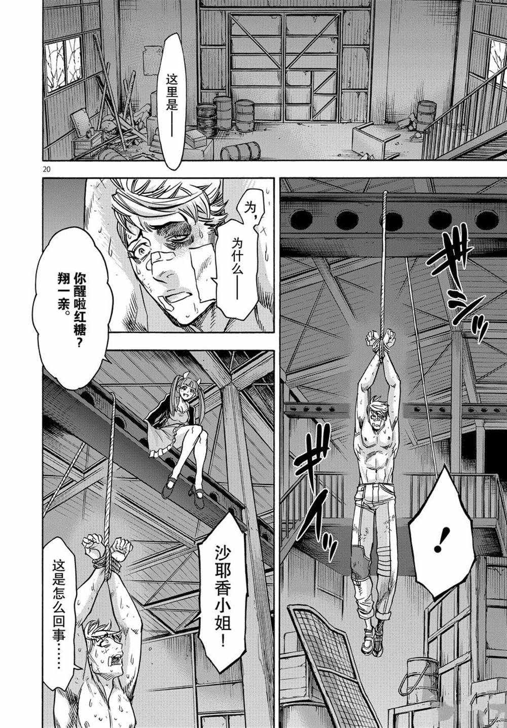 第20页