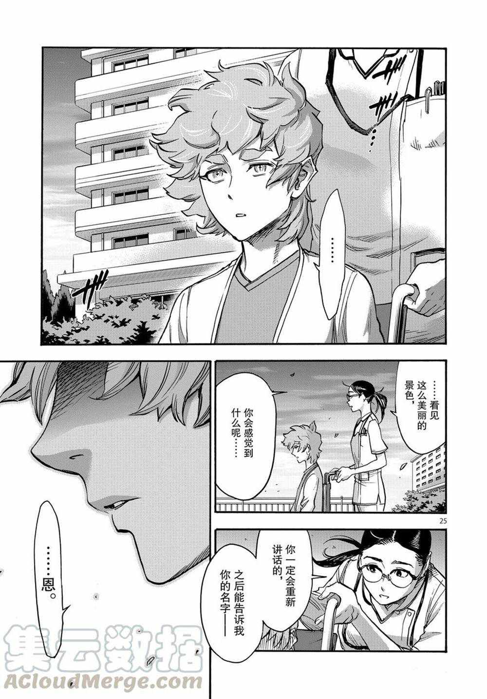 第25页