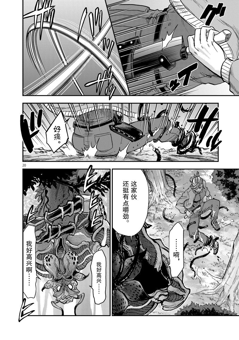 第20页