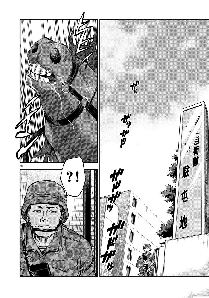 第38页