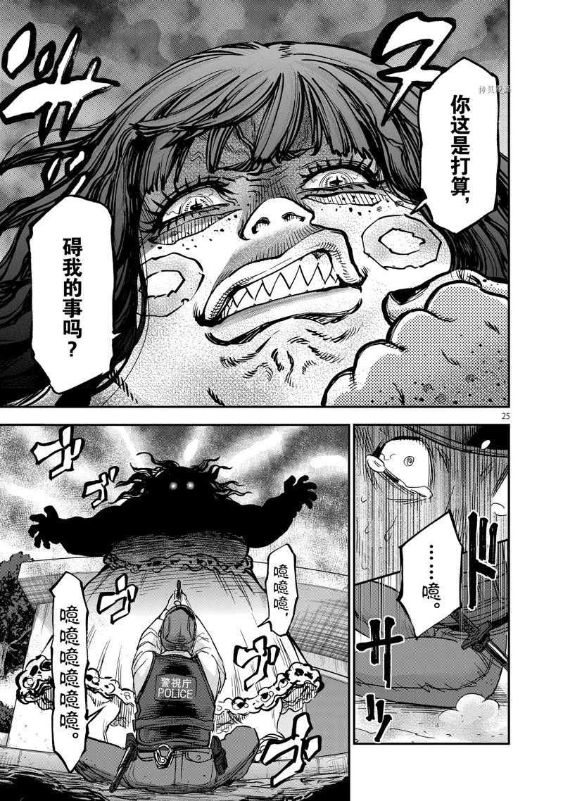 第25页