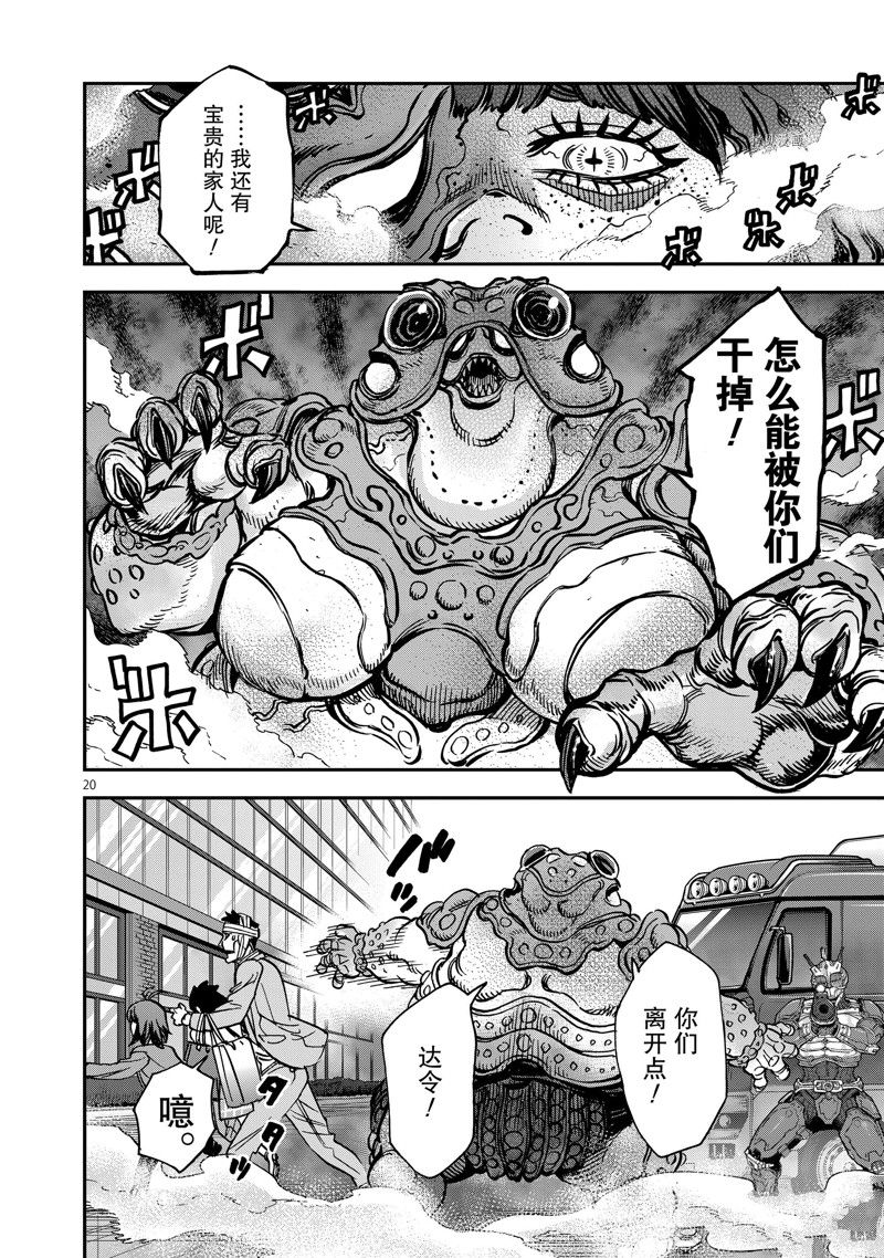 第20页