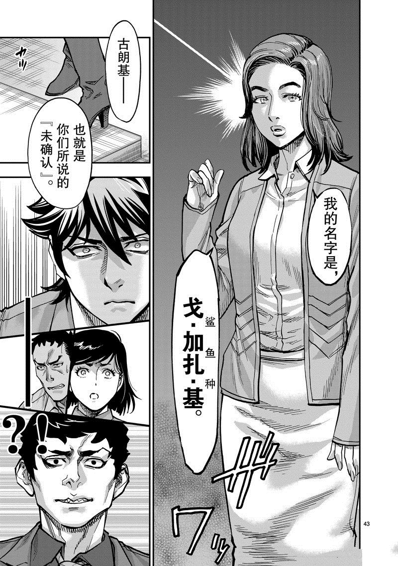 第43页