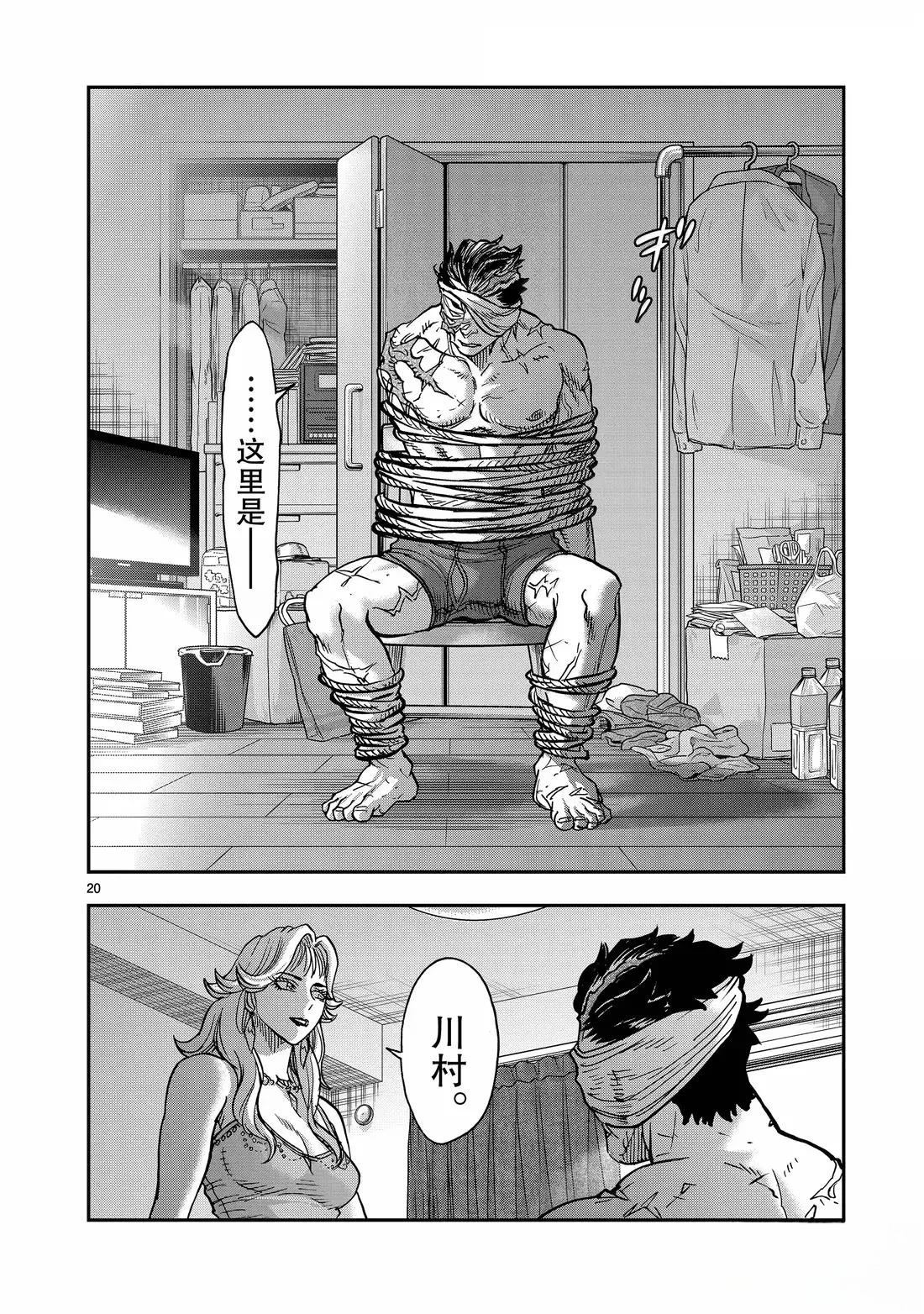 第20页
