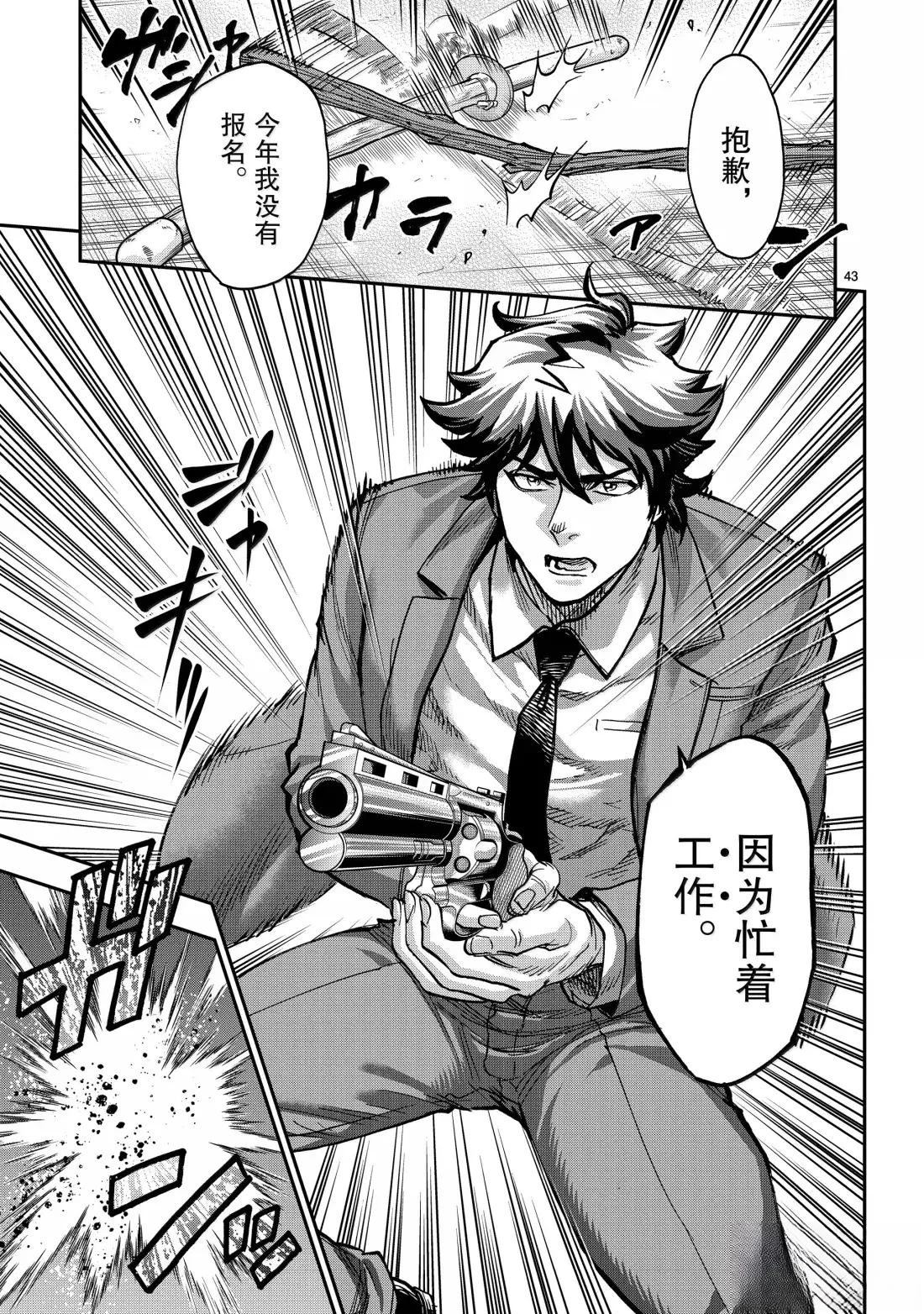 第43页