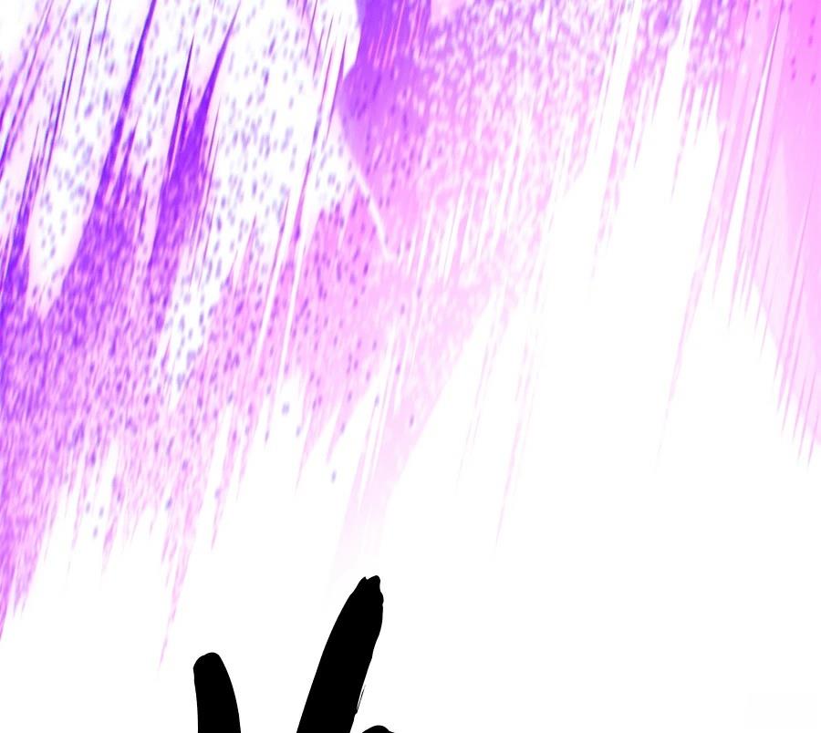 第247页