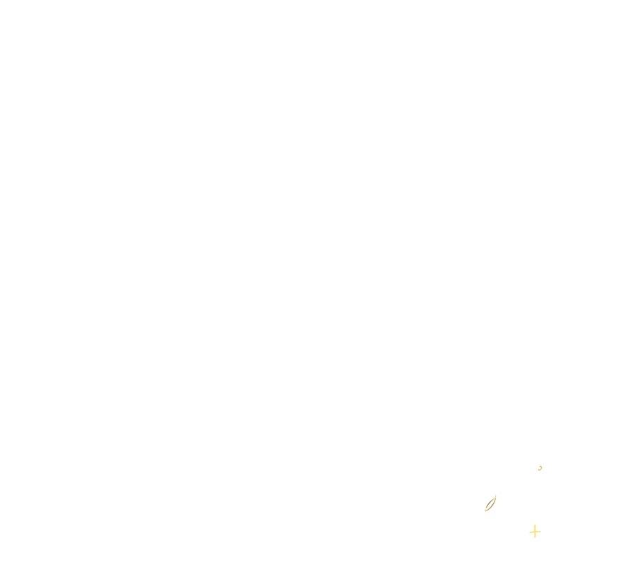 第265页