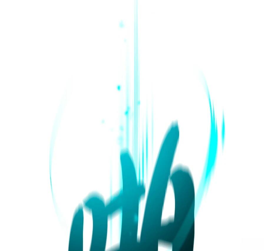 第217页