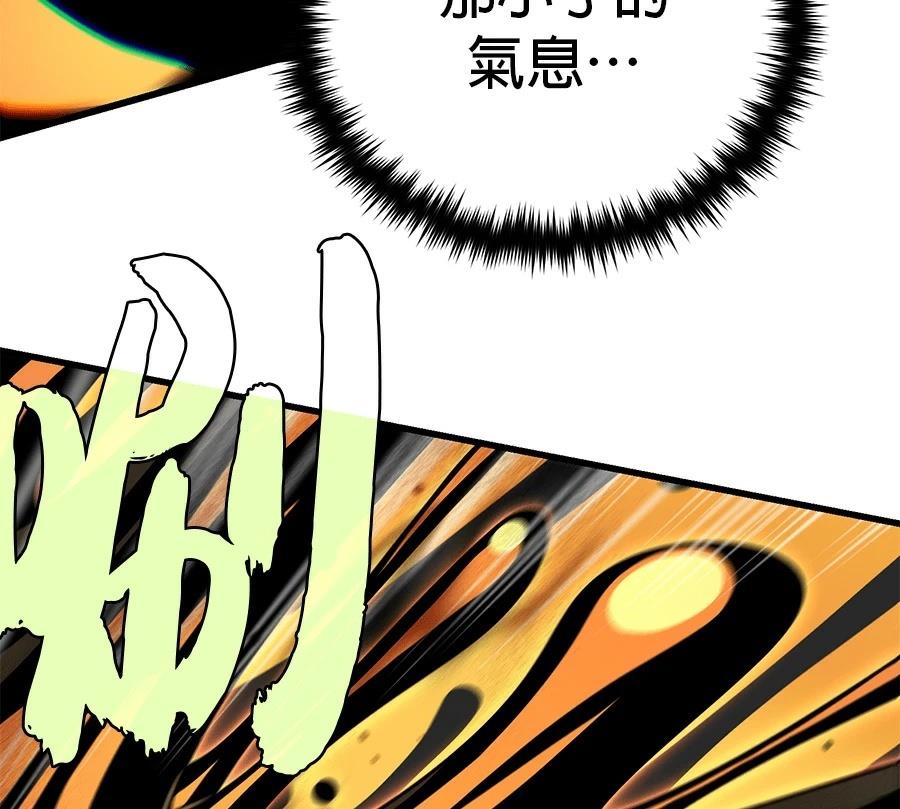 第245页