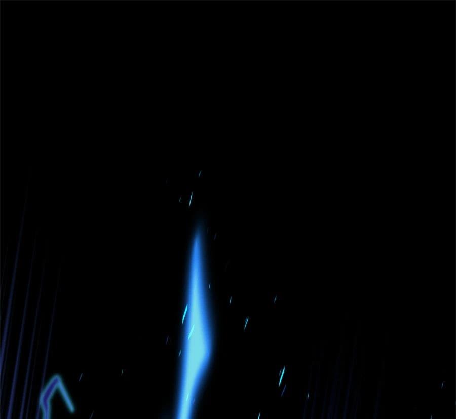 第223页
