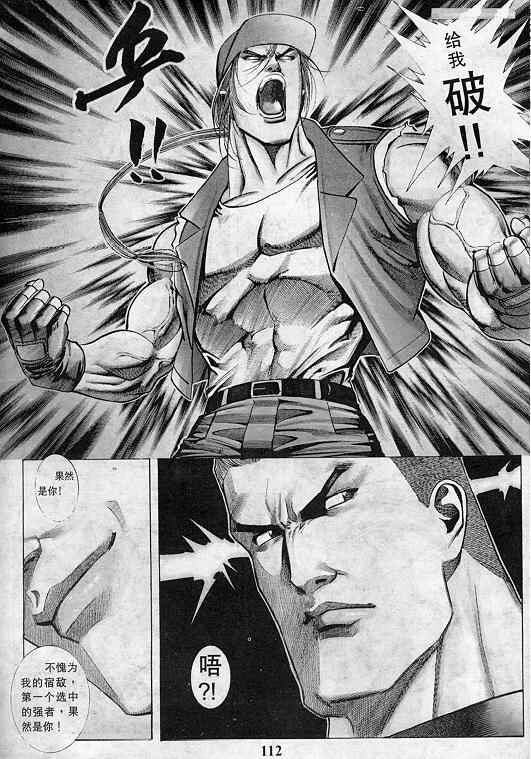 第113页