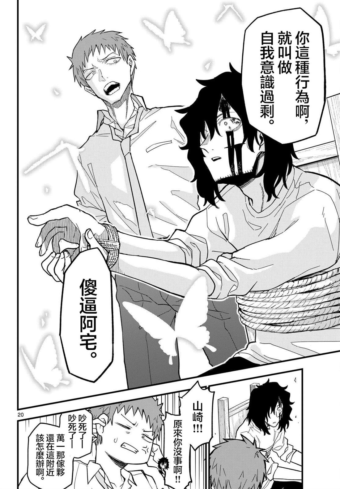 第20页