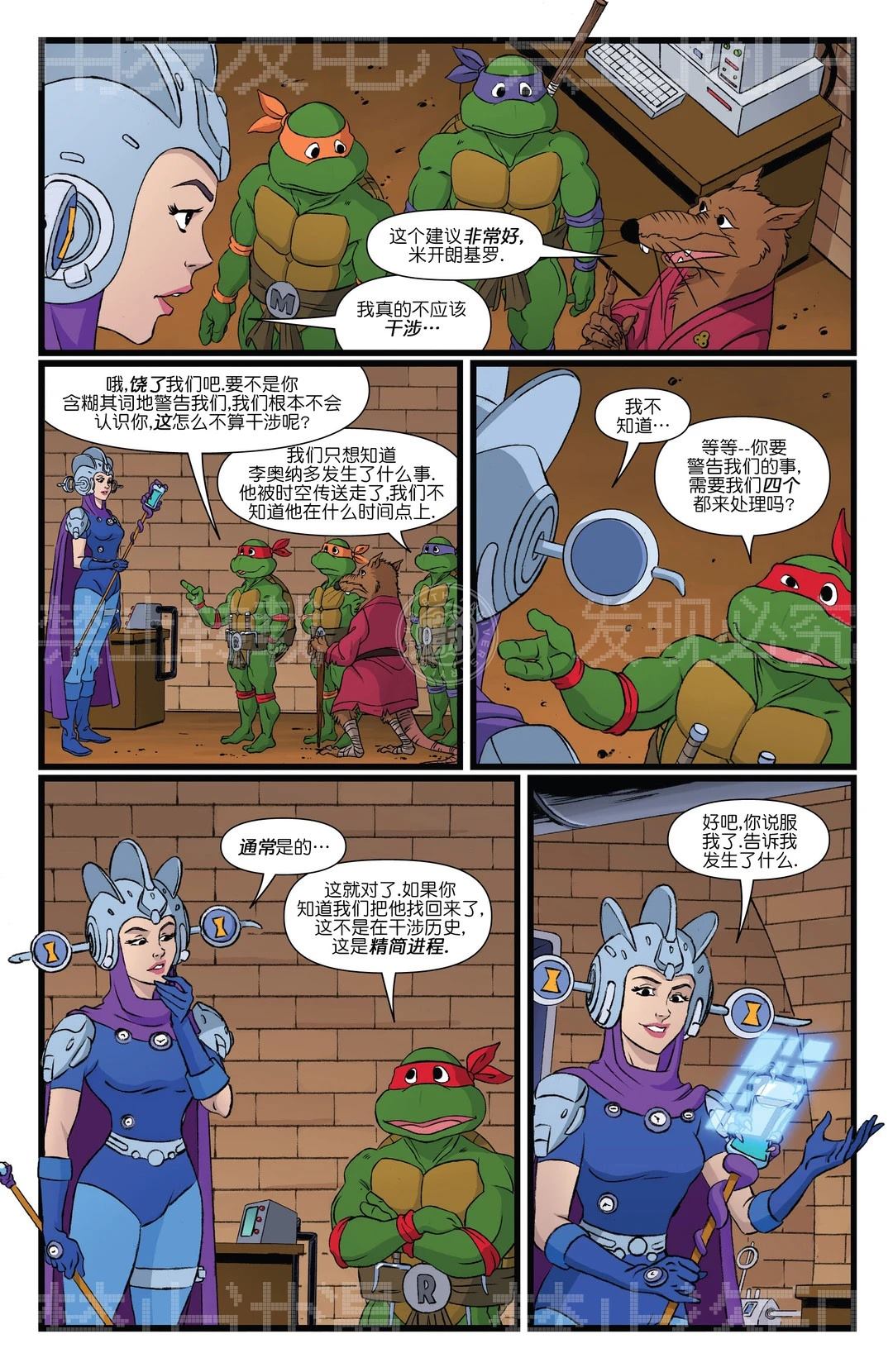第13页