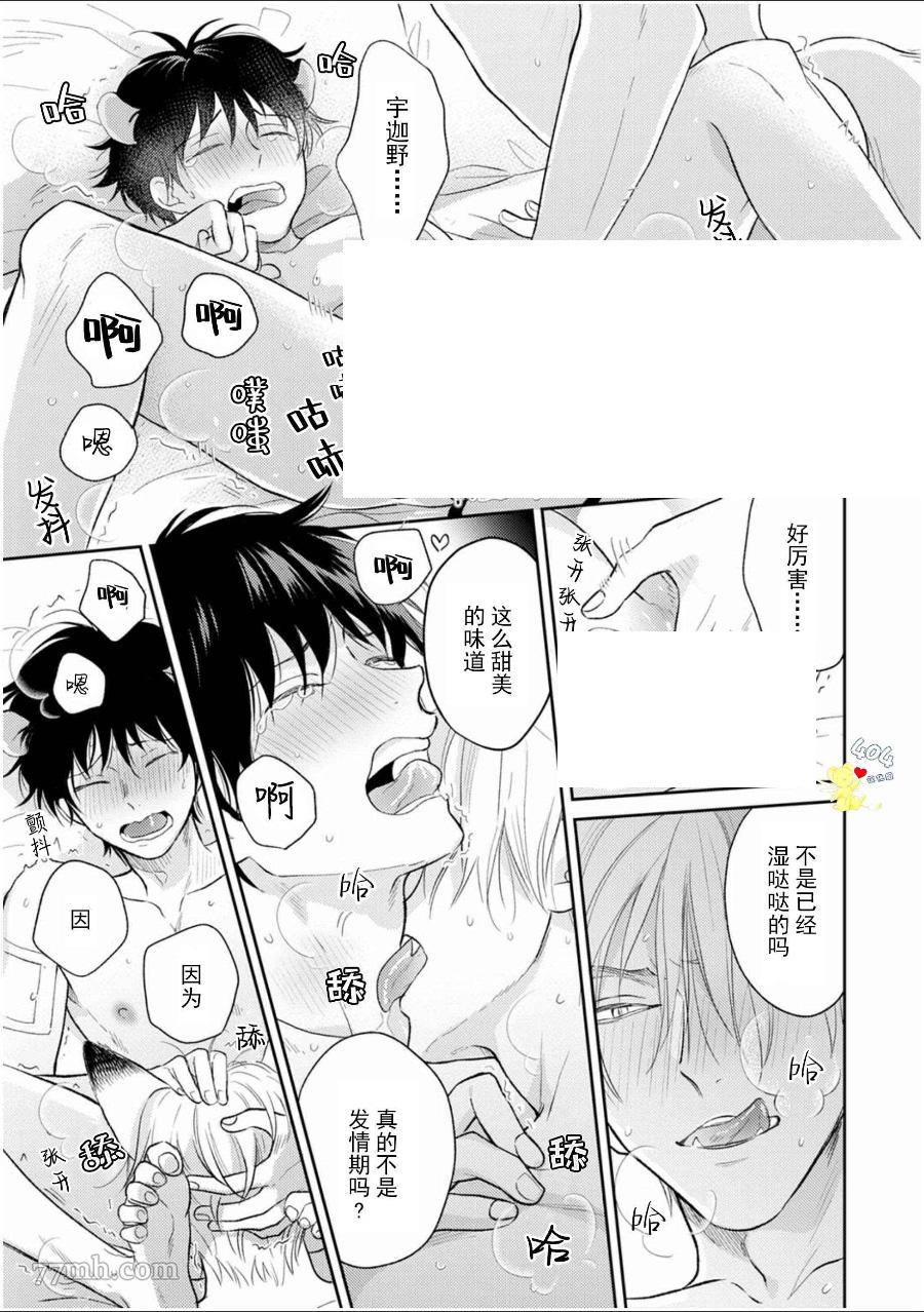 第40页