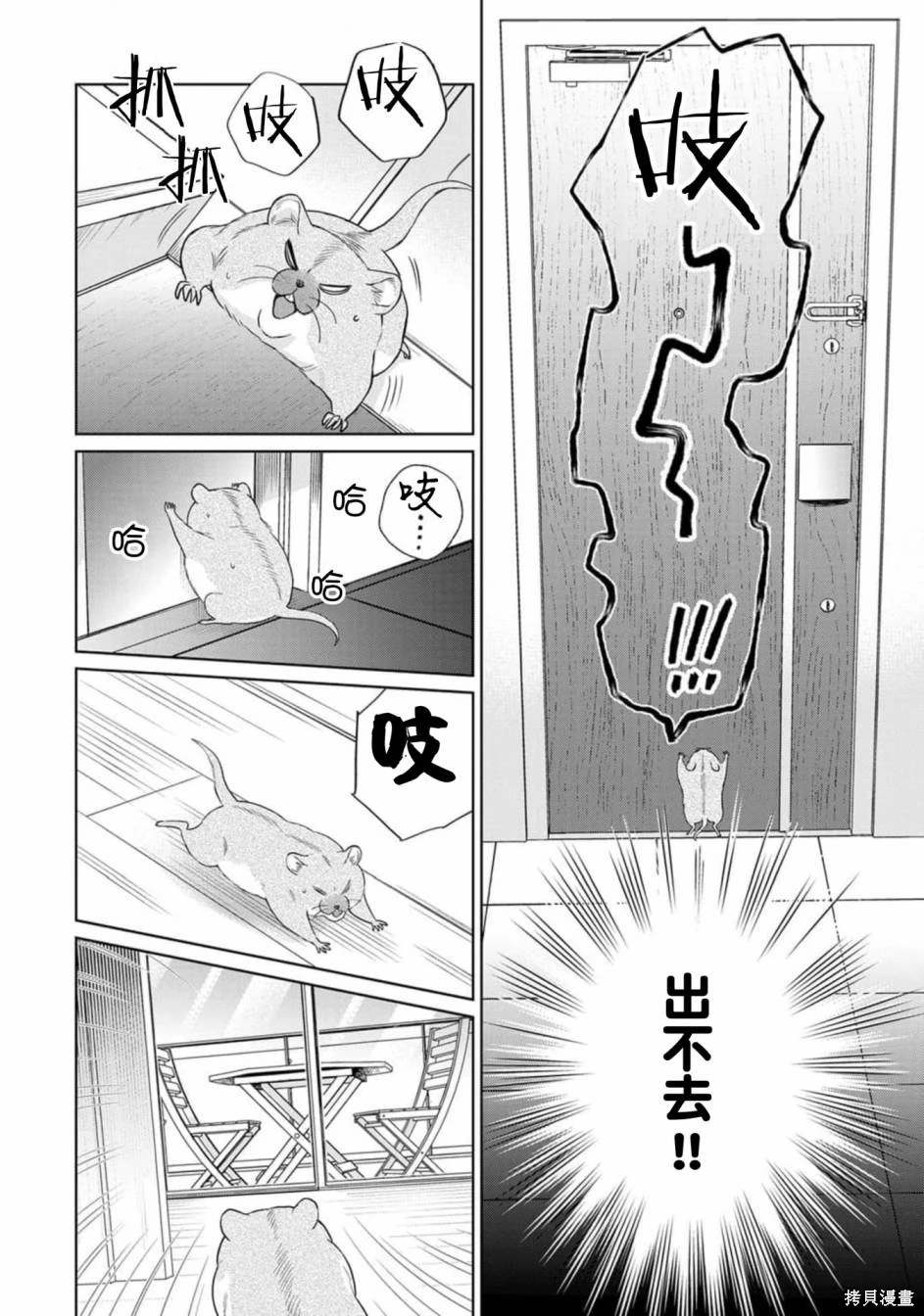 第42页