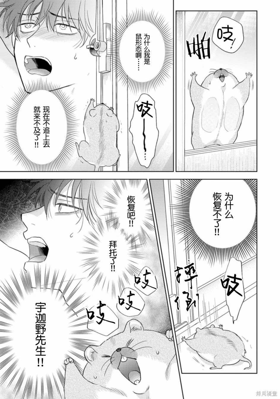 第43页