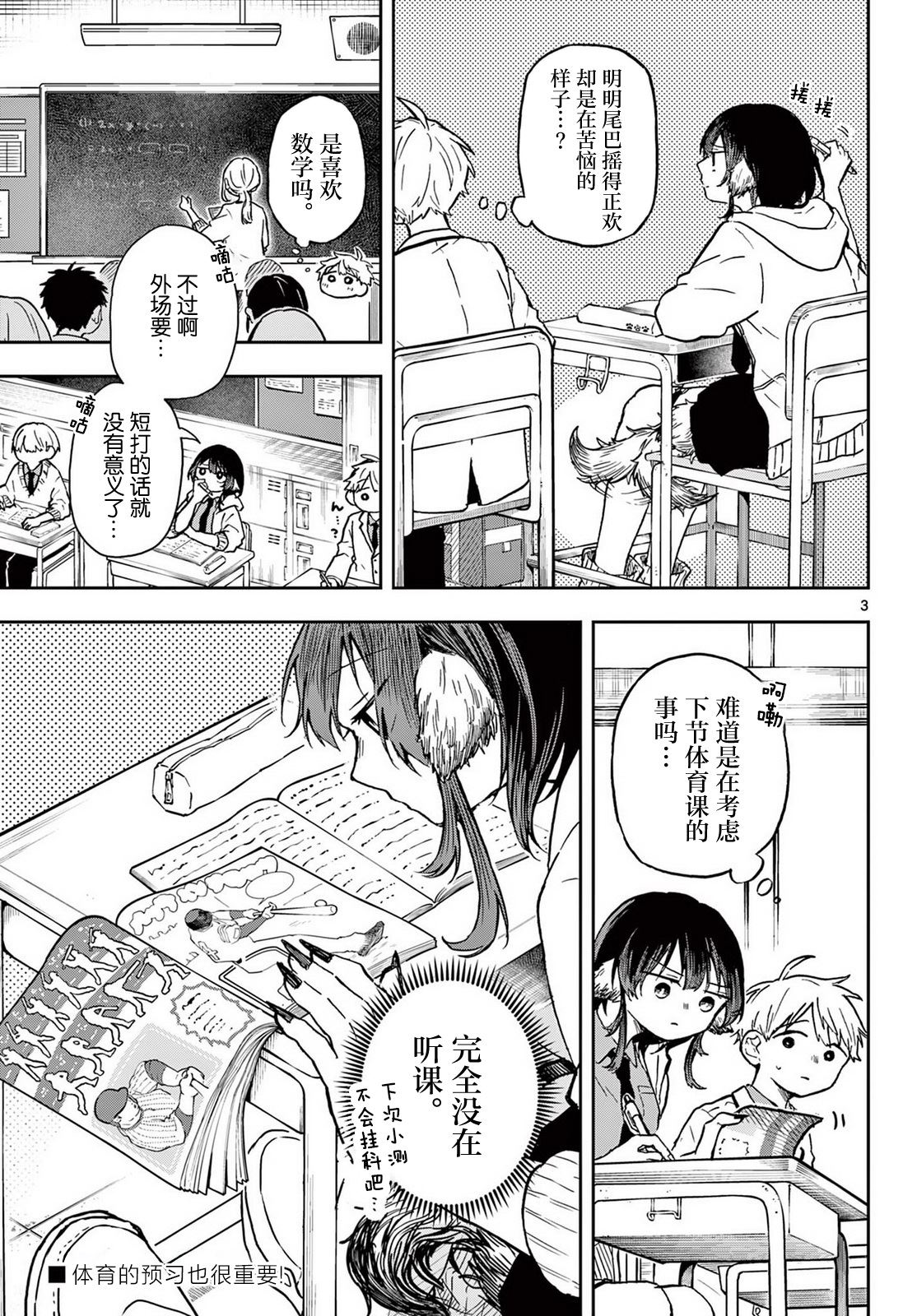 第3页