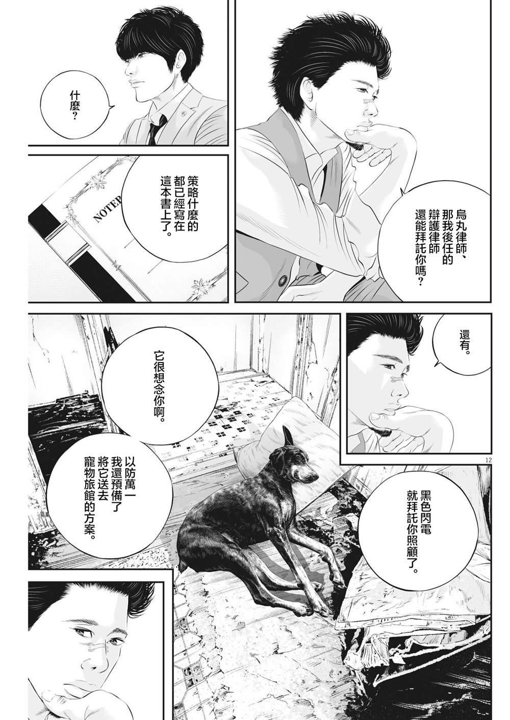 第12页