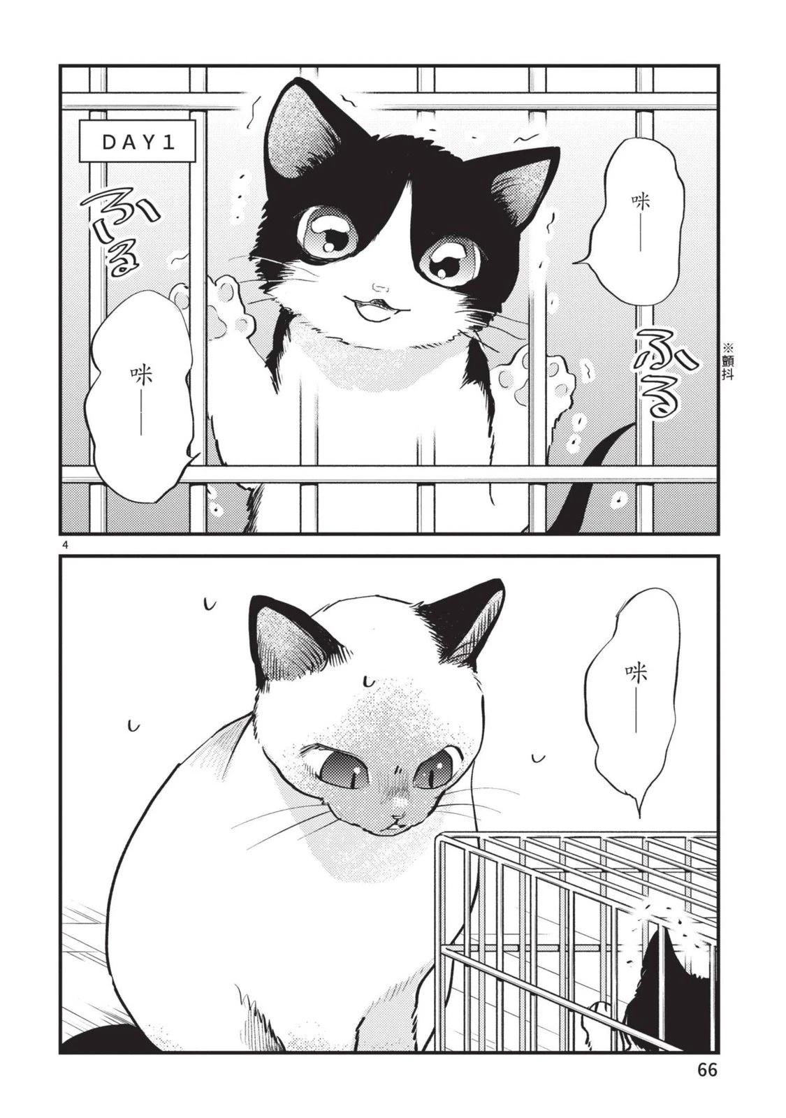 第68页