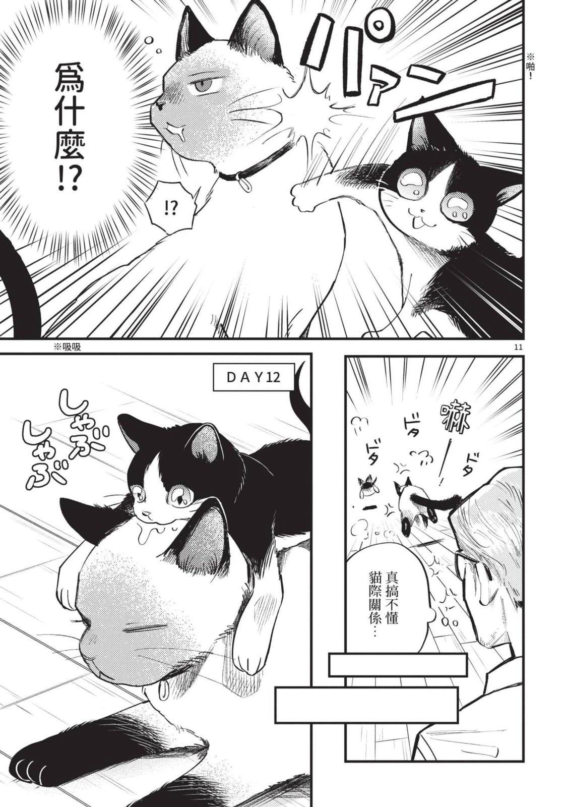 第75页