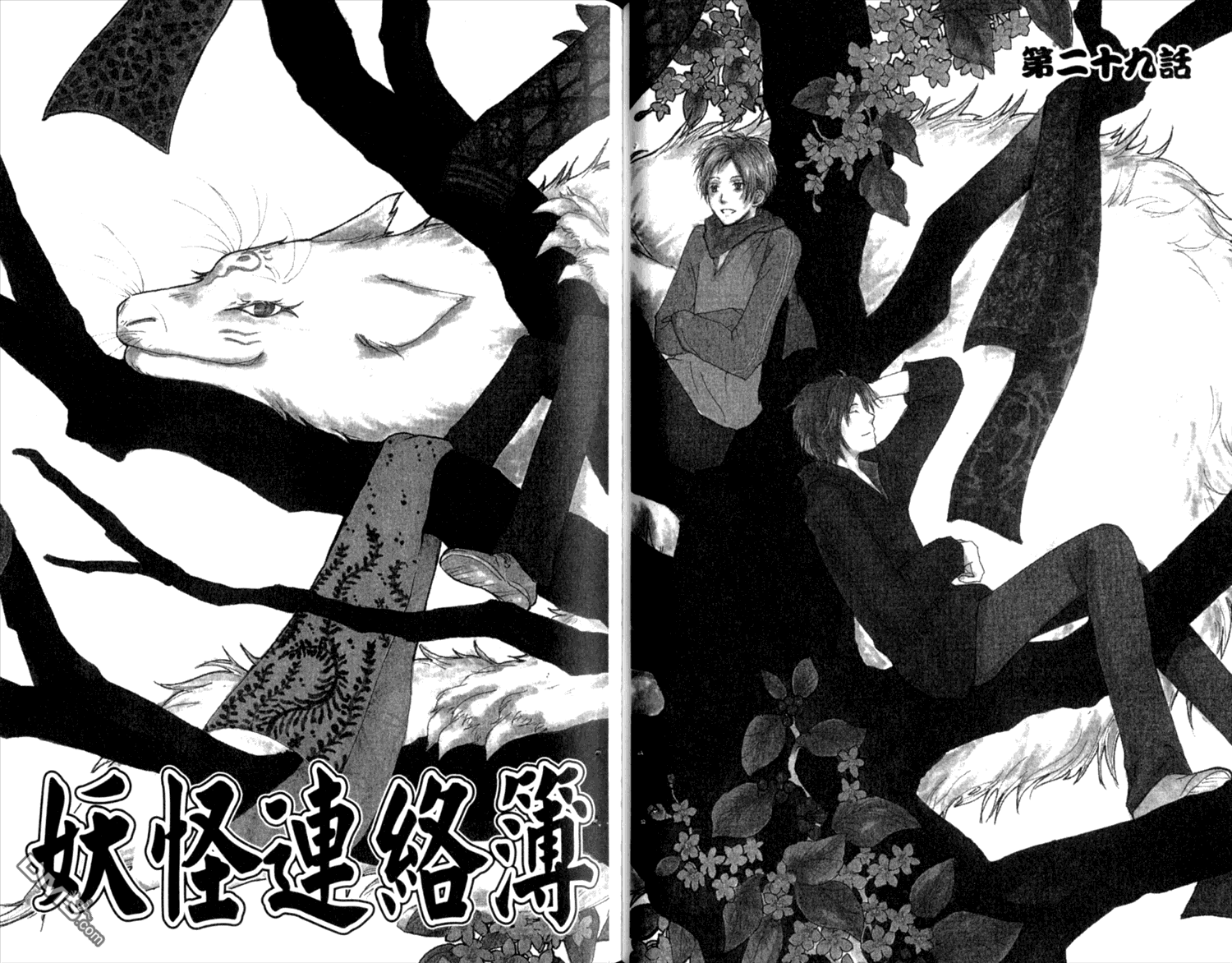 第41页